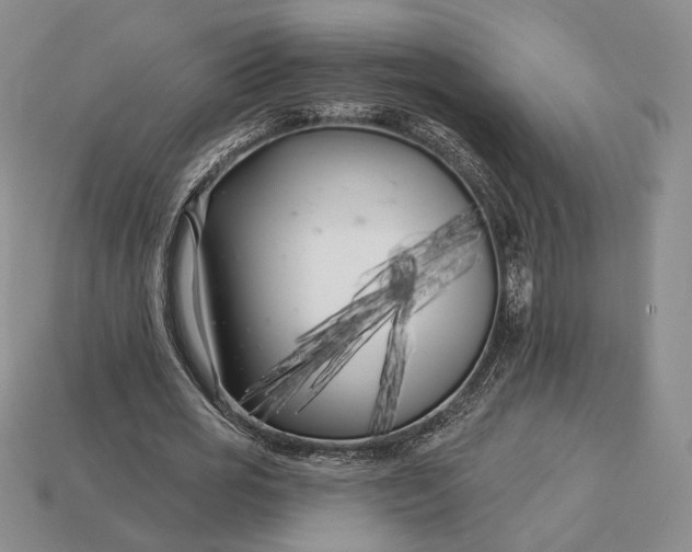 X0000113160725200909181811