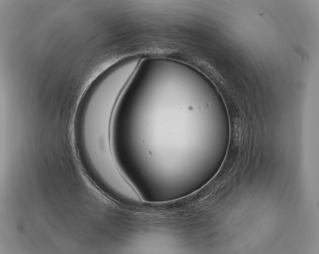 X0000113160726200909181811