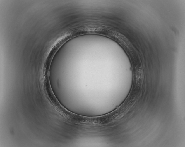 X0000113160727200909181811