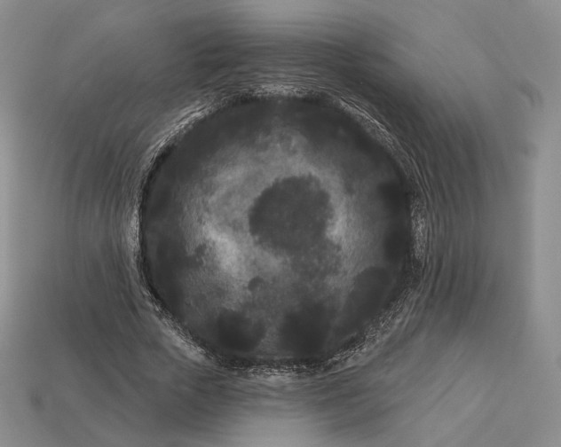 X0000113160729200909181811