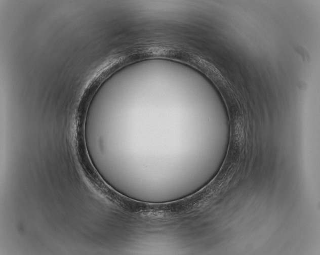 X0000113160730200909181811