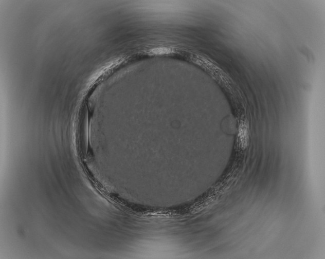 X0000113160732200909181811