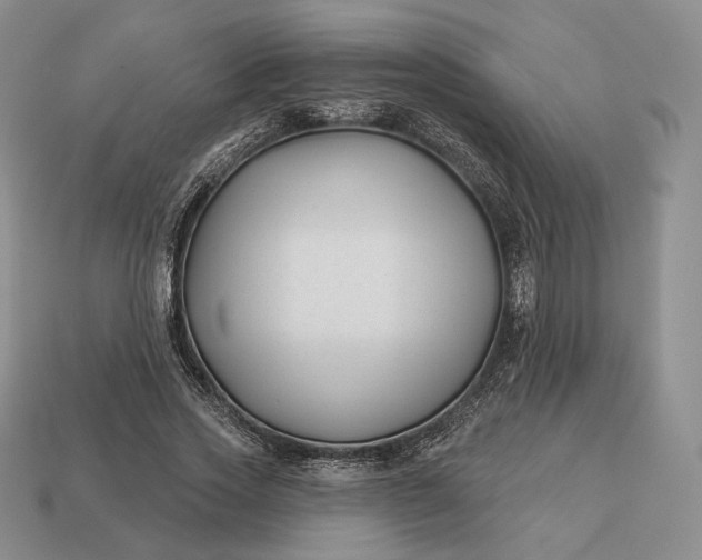 X0000113160733200909181811