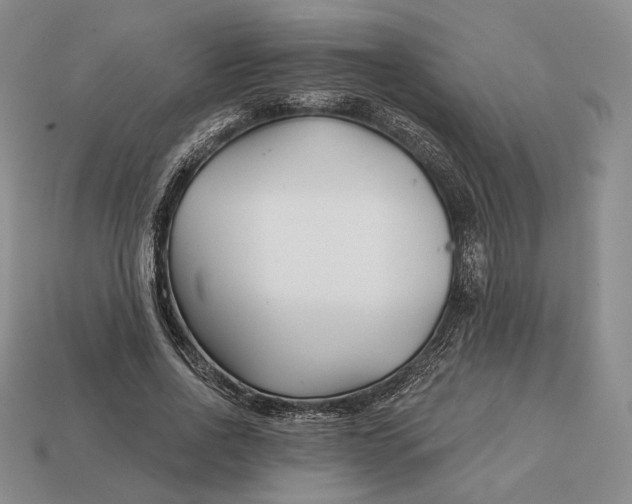 X0000113160734200909181811