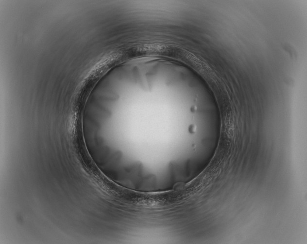 X0000113160735200909181811