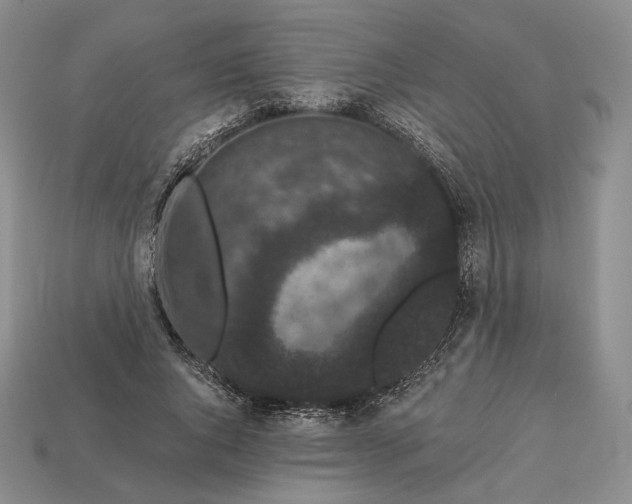 X0000113160736200909181811