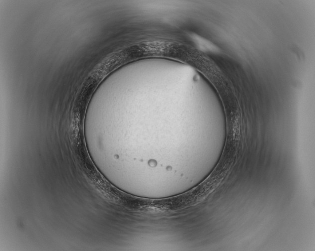 X0000113160737200909181811