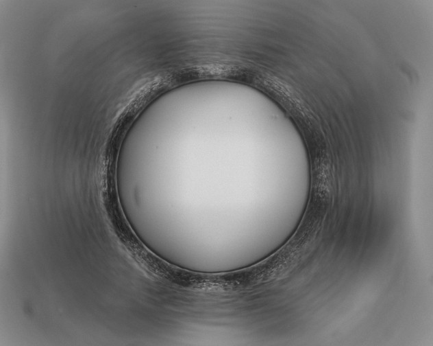 X0000113160738200909181811