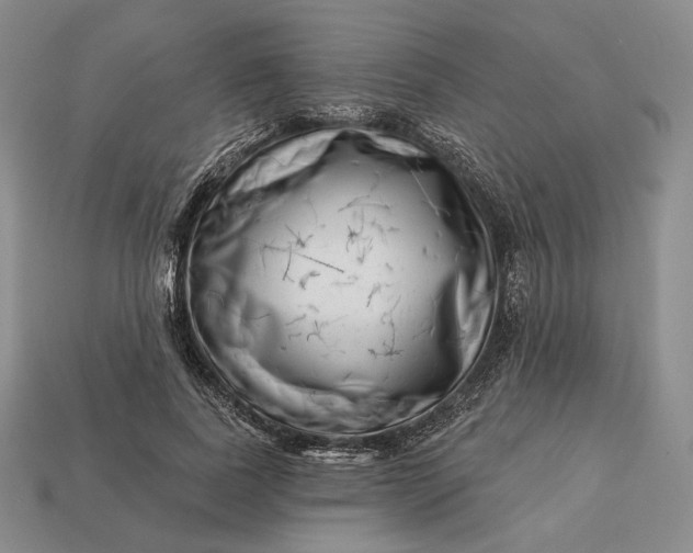 X0000113160739200909181811