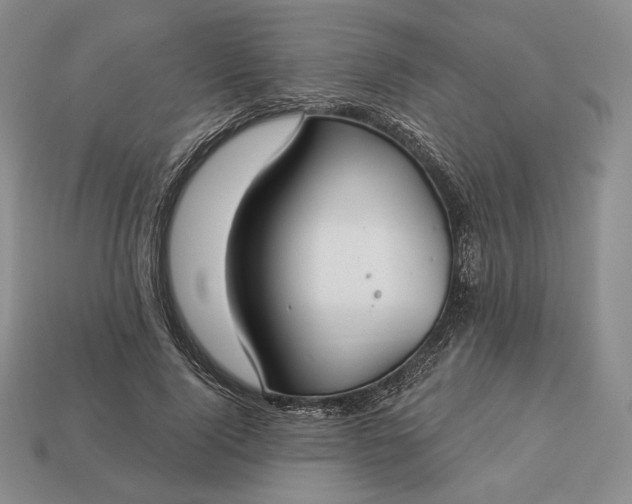 X0000113160740200909181811