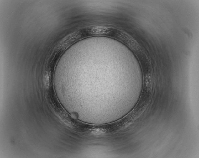 X0000113160741200909181811