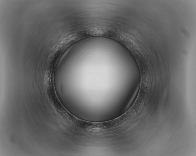 X0000113160743200909181811