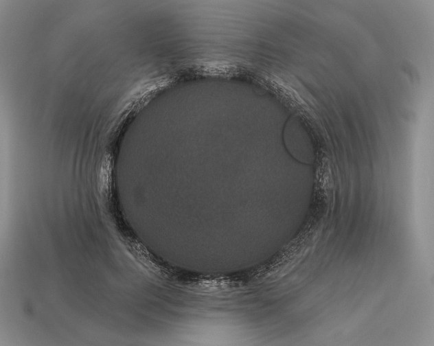 X0000113160744200909181811