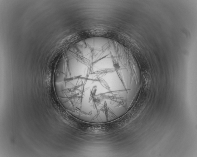 X0000113160745200909181811