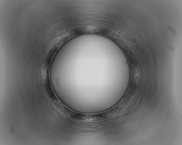 X0000113160746200909181811