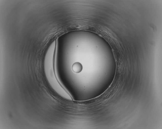 X0000113160748200909181811