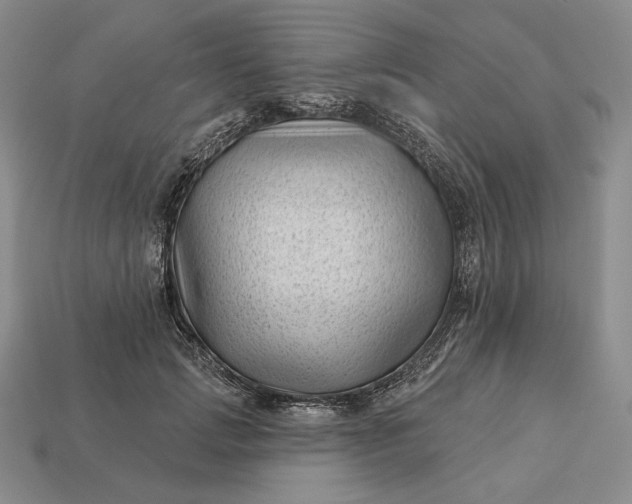 X0000113160749200909181811