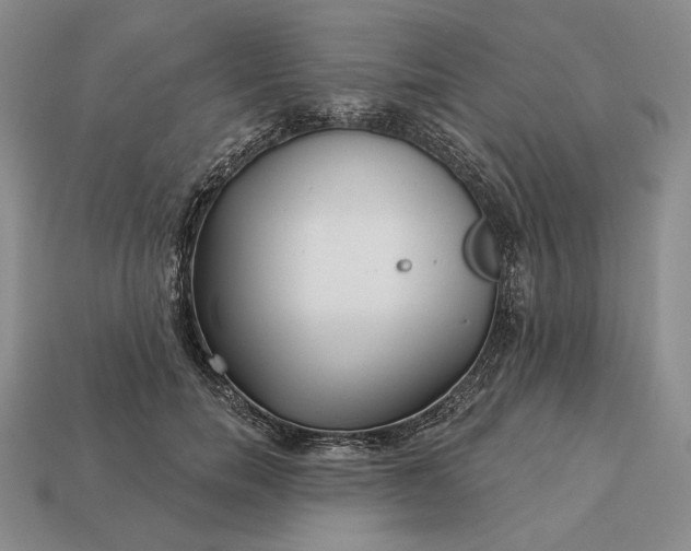 X0000113160750200909181811