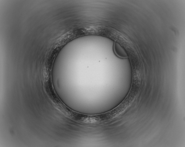 X0000113160751200909181811