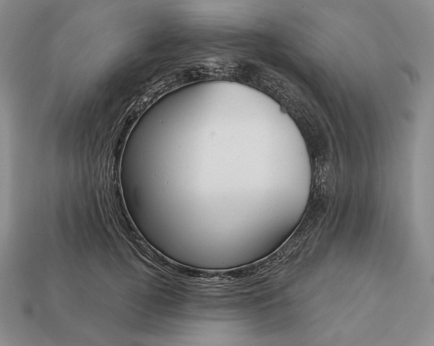 X0000113160752200909181811