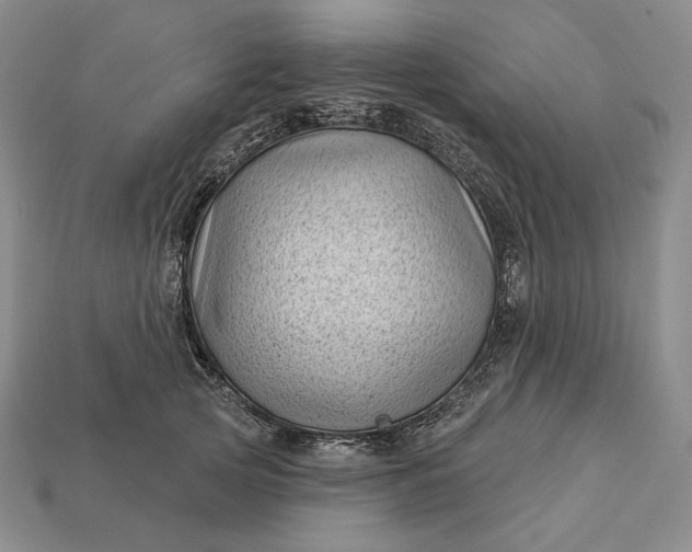 X0000113160753200909181811