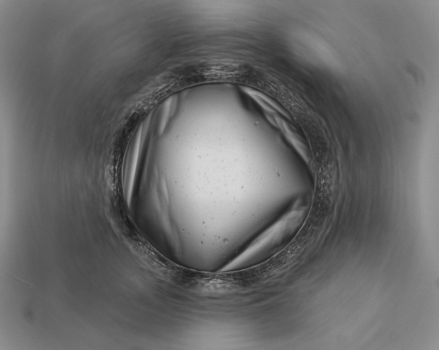 X0000113160755200909181811