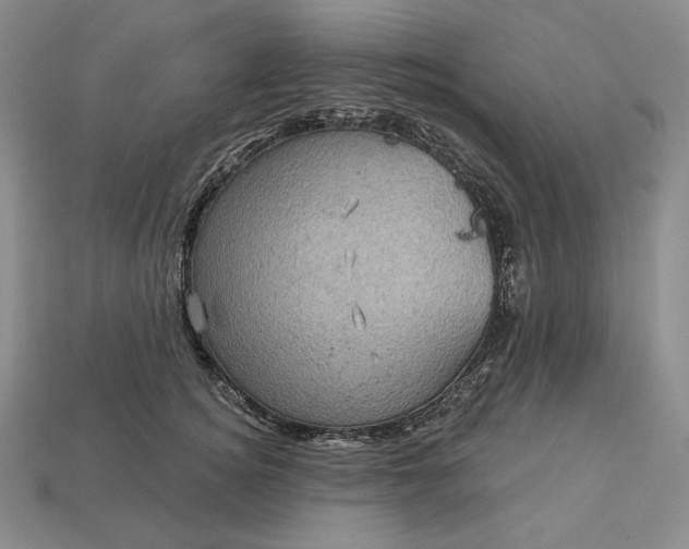 X0000113160756200909181811