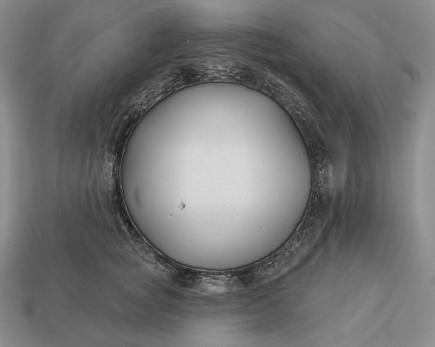 X0000113160757200909181811