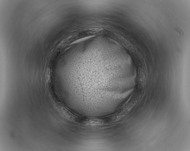 X0000113160758200909181811