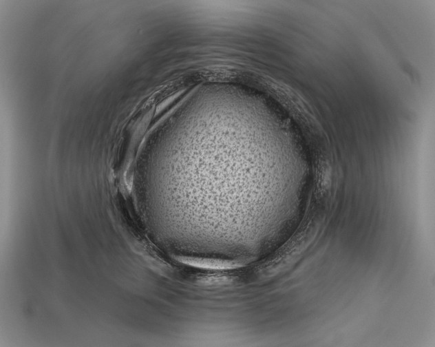 X0000113160759200909181811