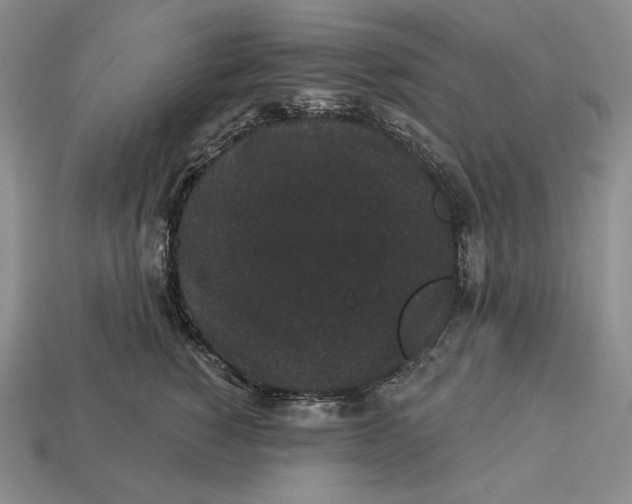 X0000113160760200909181811