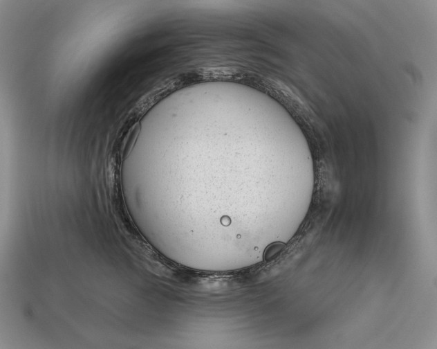 X0000113160761200909181811