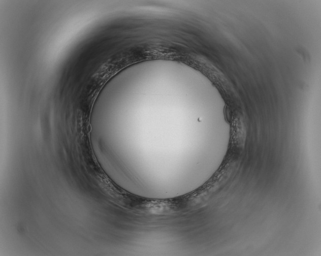 X0000113160762200909181811