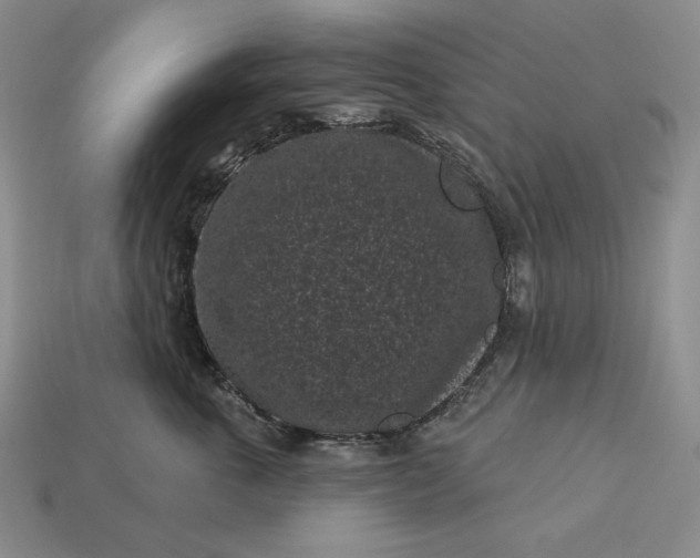 X0000113160763200909181811