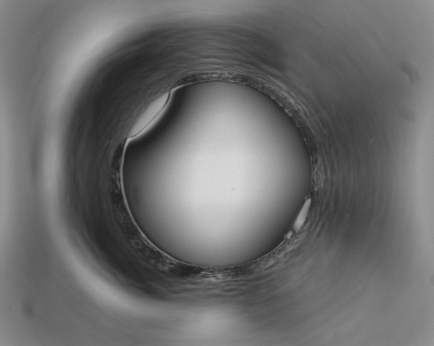 X0000113160764200909181811