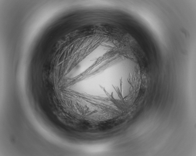 X0000113160765200909181811