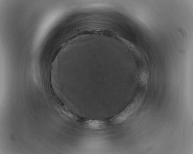 X0000113160766200909181811