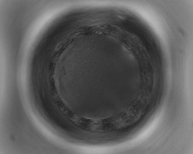 X0000113160767200909181811