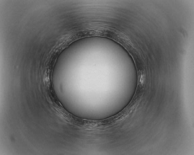 X0000113160771200909181811