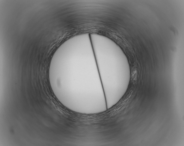 X0000113160772200909181811