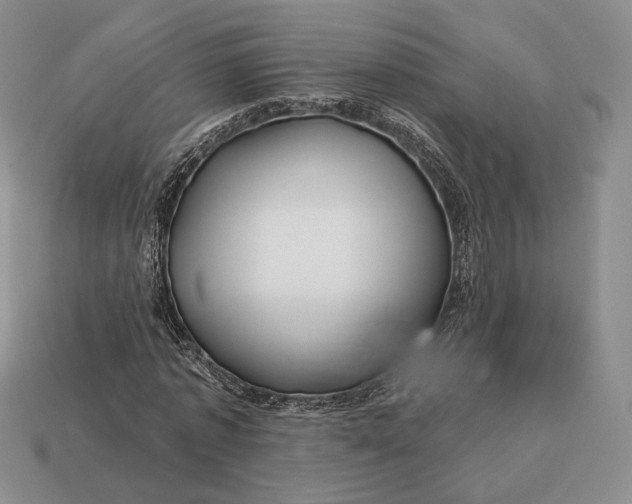 X0000113160773200909181811