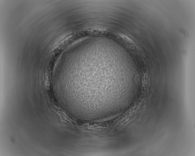 X0000113160774200909181811