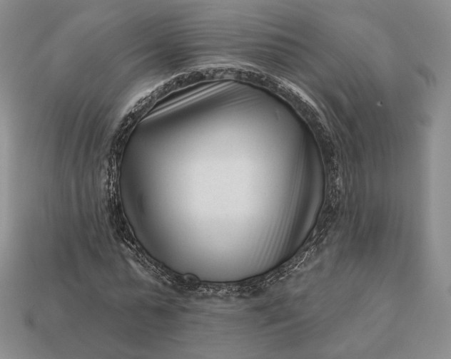 X0000113160775200909181811