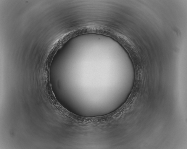 X0000113160776200909181811