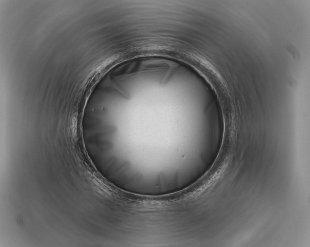 X0000113160777200909181811