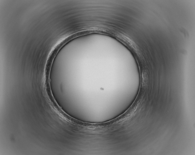 X0000113160780200909181810