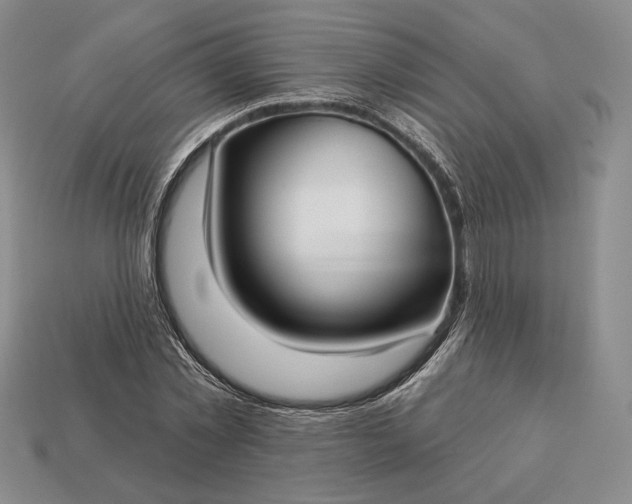 X0000113160781200909181810