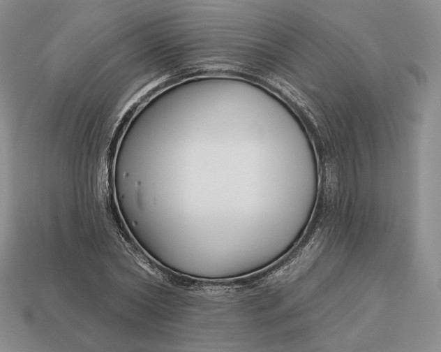 X0000113160782200909181810