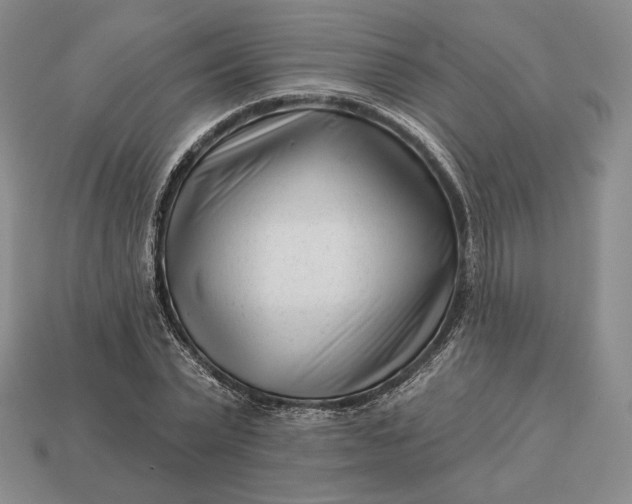 X0000113160783200909181810