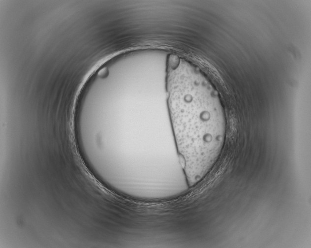 X0000113160784200909181810